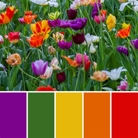 Spring Color Palette Hex Codes Welcome To The Online Rgb Color Code