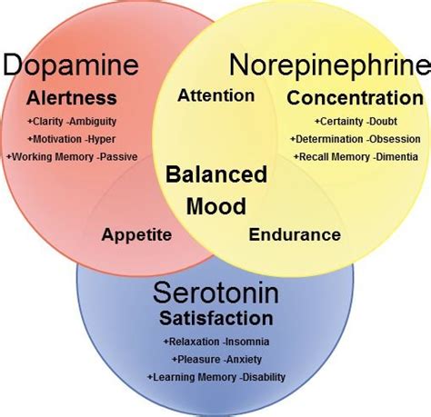 Fig The Three Main Neurotransmitters Namely Serotonin Dopamine