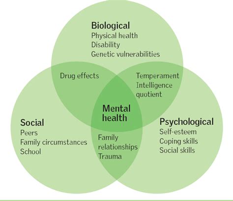 Figure 1 From Assessing Sexual Health In Mental Health Service Users Semantic Scholar