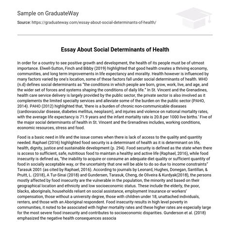 Essay About Social Determinants Of Health Essay Example Graduateway