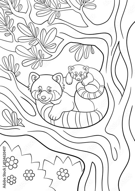 Coloring Pages Mother Red Panda With Her Cute Baby Vector De Stock
