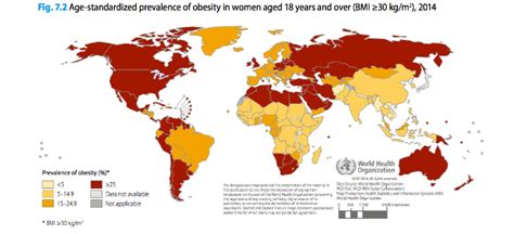 los países más obesos del mundo mapamundi sophimania