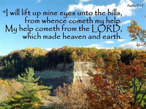 i will lift up mine eyes unto the hills read bible daily bible reading psalms