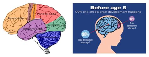 How To Encourage A Childs Brain Development Ecwa Usa