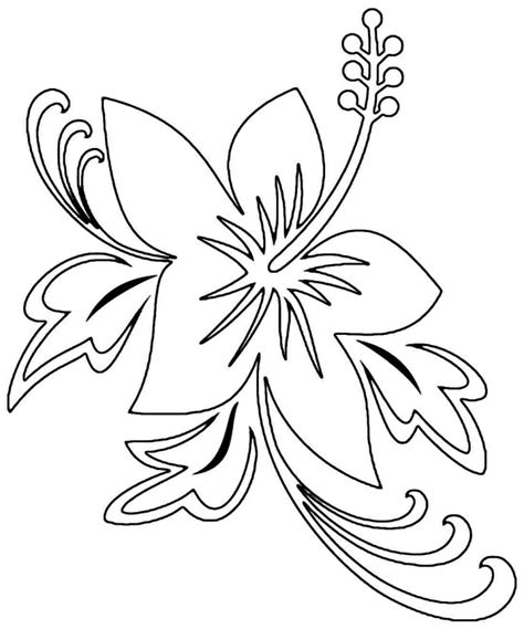 Hibiscus can be colored with red or light pink. Free Printable Hibiscus Coloring Pages For Kids