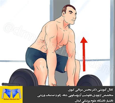 حرکات ورزشی مخصوص تقویت عضلات سرشانه