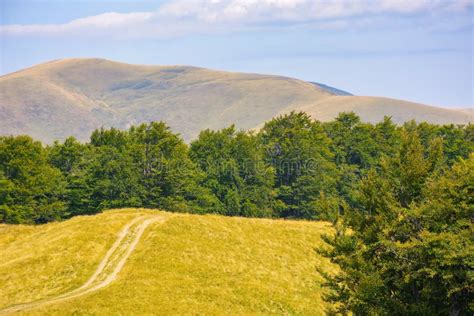 Rural Road Through Green Meadows On Forested Rolling Hills Stock Photo