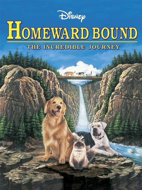 Homeward Bound The Incredible Journey Movie Reviews And Movie