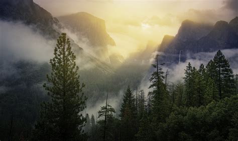 Yosemite National Park Beautiful View 4k