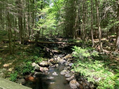 Escape To The Remote And Peaceful Peoples State Forest In Connecticut