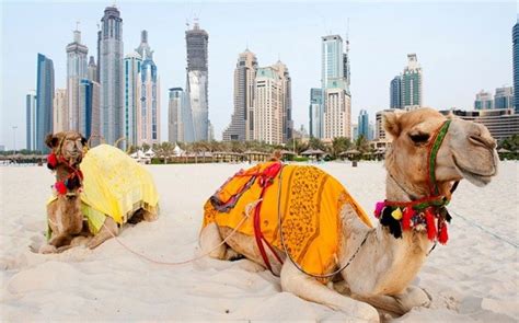 Visiter Dubaï Que Faire Et Quand Partir