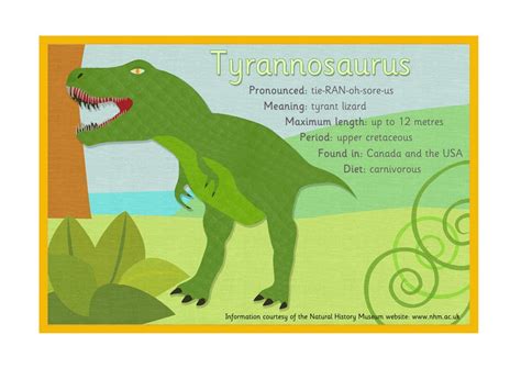 Dinosaur Fact Sheets Dinosaur Facts Dinosaur Dinosaur Theme