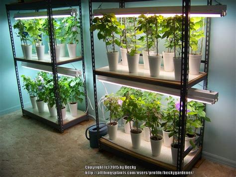 Yes, you can use a normal led light to grow your indoor plants since. Create Your Own Grow-Light Shelving Unit - Garden.org