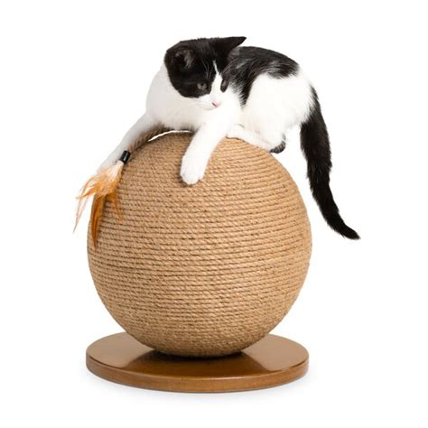 Diy Cat Scratching Post Learn How To Make One All Pet Care