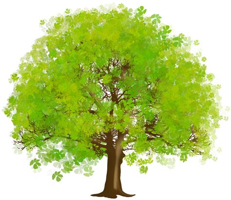 Large Green Tree PNG Clipart (With images) | Rajzok, Virágok, Képek png image