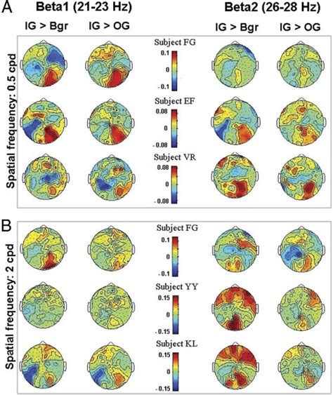 Difference Maps Of The Eeg Coherence From Individual Subjects Rows