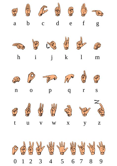 زبان اشاره چیست؟ تاریخ روز جهانی در تقویم1402 آموزش و تاریخچه