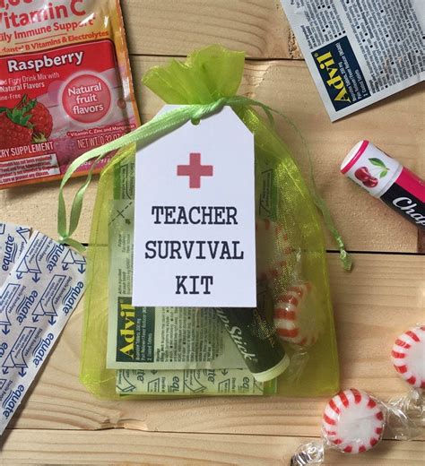 High School Survival Kit Teacher Emergency Kit Random Etsy