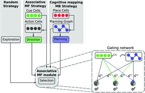 Model Overview The Proposed Computational Model Is Composed Of Four