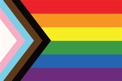 Pansexual Lgbtq Flags Pride Flag Guide Lgbtq Community S Varied Flags