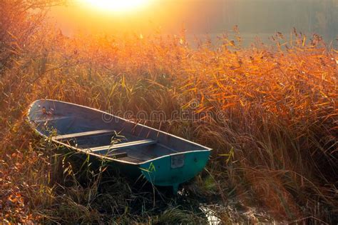 Fishing Boat In The Reeds In The Morning At Sunrise On The Lake Stock