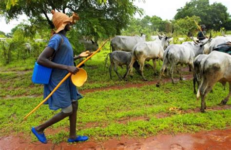 Ahmed Magem Lists 5 Steps To End Fulani Herdsmen Crisis In Nigeria