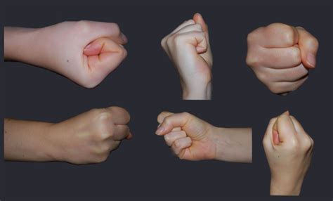 Female Fist Reference All Views Hand Reference Hand Drawing