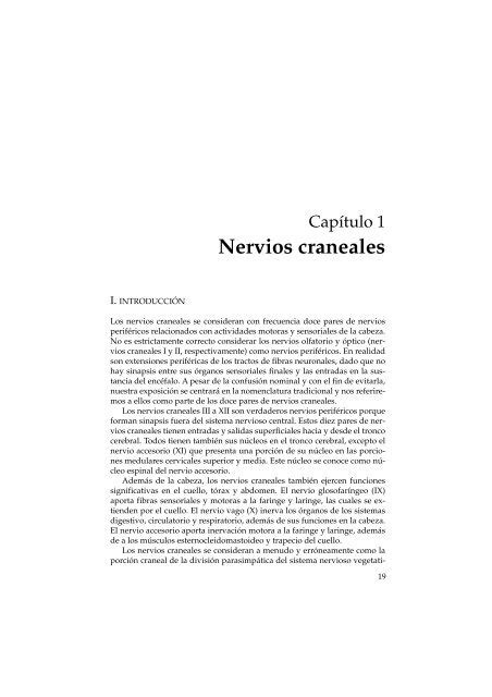Nervios Craneales The Best Porn Website