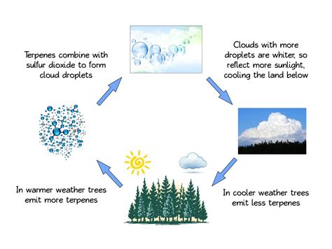 Gallery For How Clouds Are Formed For Kids