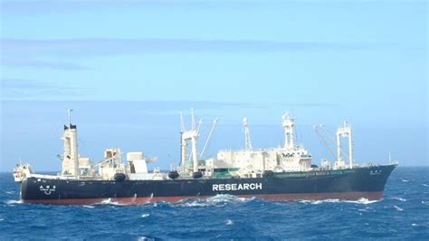 Japans Last Whaling Mother Ship May Cost Too Much To Replace
