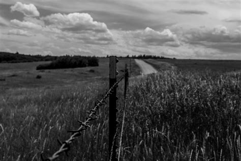 Free Images Horizon Cloud Black And White Field Meadow Prairie