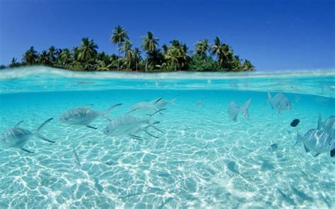 Increíbles imágenes de playas en el Caribe Colombiano para ...