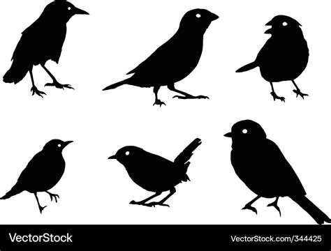 Birds Royalty Free Vector Image Vectorstock