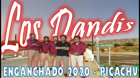 Los Dandis Temas Nuevos 2020 Enganchados Picachu Difusion Musical