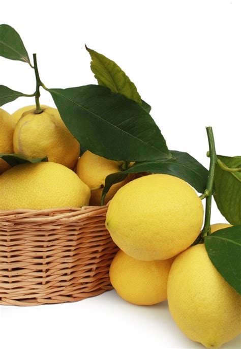 Lemons Citrus Fruits Fruit · Free Photo On Pixabay