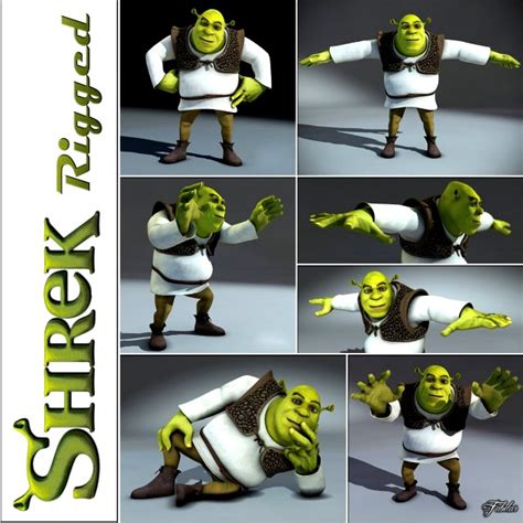 Shrek Rigged 1 3d Model