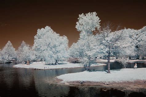 14 Beautiful Winter Scene In Texas