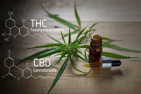 Benefits Of Cbd Oil The Pros And Cons Of Cannabidiol 2023 Guide