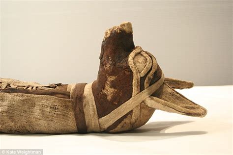 Ancient Egyptian Animal Mummies Revealed At Manchester Museum