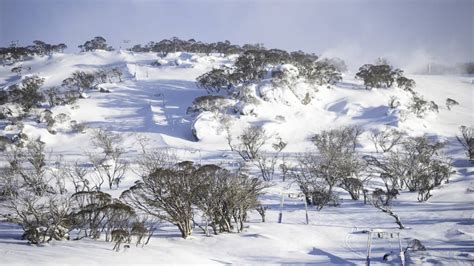 Snow Forecast For Parts Of Canberra Later This Week The Canberra