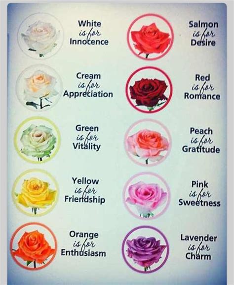 Flowers What Each Color Means Rose Color Meanings Flower Meanings