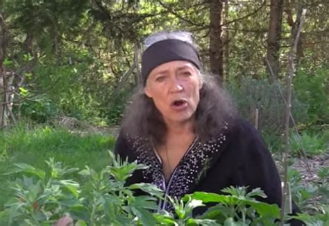 Ulster County Herbalist Arrested For Threatening Her Apprentice Police