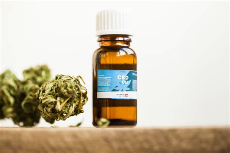 Having a support network in place. How to Take CBD Oil: 6 Ways to Get Your Daily Dose ...