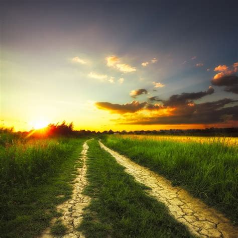 Premium Photo Path In The Field And Sunset Rural Landscape