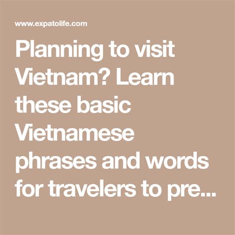 Basic Vietnamese Phrases And Words For Travellers