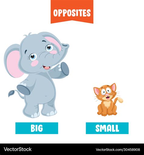 Opposite Words For Big And Small Vector Free Download