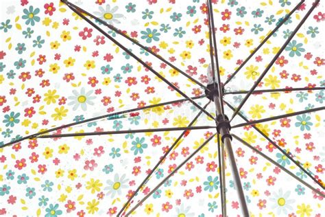 Rain Drops On Colorful Flower Umbrella Stock Photo Image Of Black