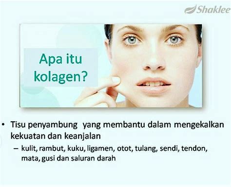Ada proses dan prasyarat yang harus. Shaklee Penang:Apakah Fungsi Utama Collagen?