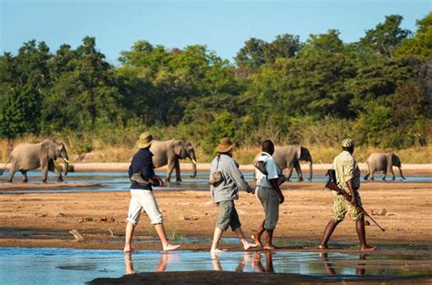 South Luangwa National Park Zambia Regional Info