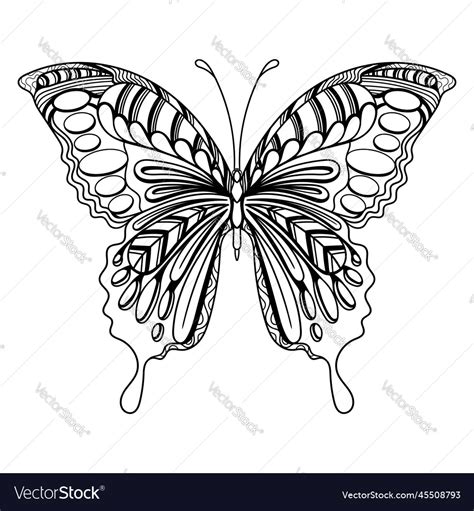 Butterfly Art Mandala Entangle Coloring Page Vector Image